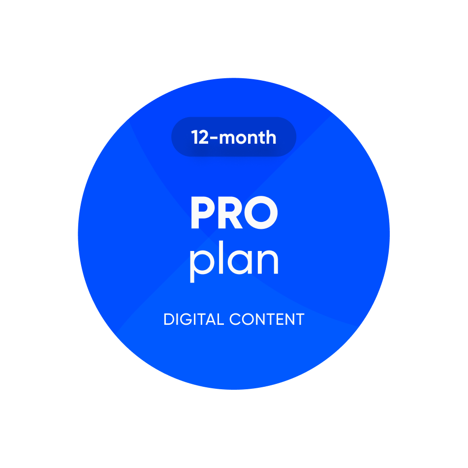 PRO — 12 luni